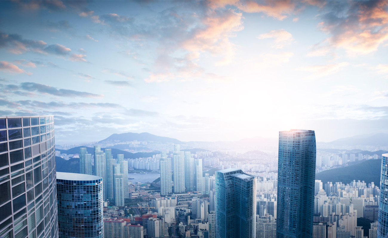 총 803세대 신축 + 대단지 아파트 프리미엄